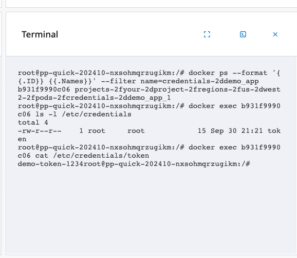 Run the docker commands in the Terminal window of the Device overview page.