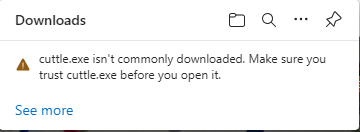 Example of the security alert message.